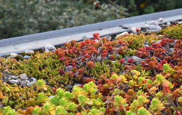 the cost of Invermoidart green roof installation