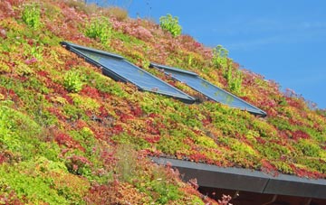 Invermoidart living roof systems