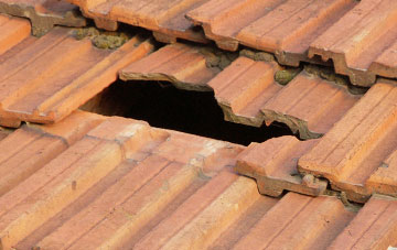roof repair Invermoidart, Highland